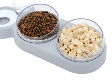 Vas Dublu Inclinat pentru hranire pisici cu Dispenser Apa, AVX-AG684E